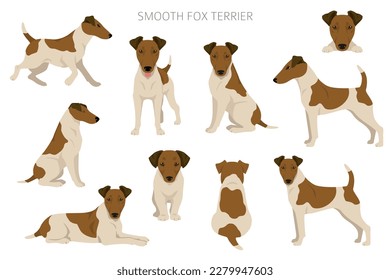 Glatte Fox Terraer Clipart. Unterschiedliche Posen, Farben für die Fellfarbe.  Vektorgrafik