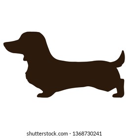 Smooth haired Dachshund side silhouette