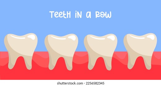 Smooth and healthy teeth in a row on a blue background. Dental vector illustration in a flat style. Illustration for banners, flyers, postcards.