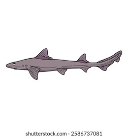 smooth hound vector illustration,isolated on white background,top view