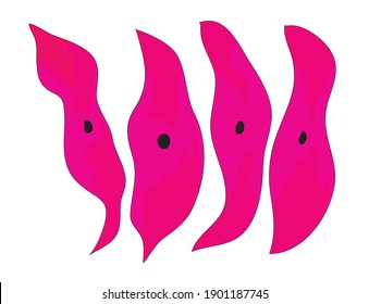 Smooth Muscle Tissue-Different size of smooth cells in smooth muscle tissue of human body, walls of hollow visceral organs, including the stomach, intestines, urinary bladder and uterus, smooth cells 