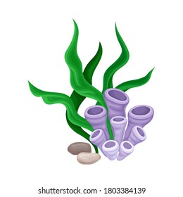 Smooth Pebble or Sea Stones with Seaweeds and Algae Vector Illustration