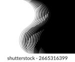Smooth vector transition from black to white. Abstract wave of thin lines. Divided two-color background. Design element for covers, advertising, packaging, video. Vector background. Hair, pattern