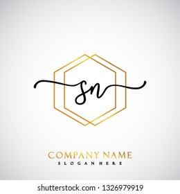 SN Initial Handwriting logo template vector