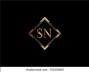 Imágenes Fotos De Stock Y Vectores Sobre Sn Logo Shutterstock