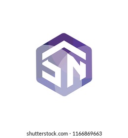 SN Initial letter hexagonal logo vector