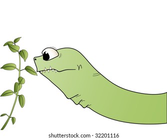 Snack