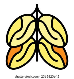 Snack date fruit icon outline vector. Food palm. Sweet dry color flat