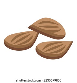 Snack nut icon isometric vector. Dry fruit. Fresh food