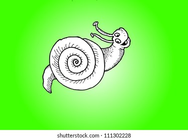 Snail