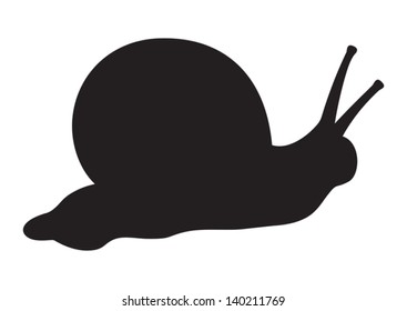 snail