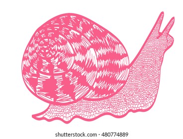 Snail