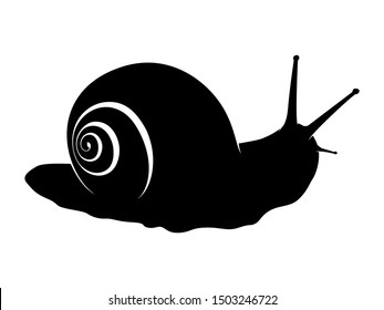 Snail Animal Black Silhouette Vector