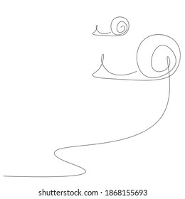 Snail animal drawing on white background, vector illustration