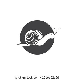snail animal logo and symbol template 