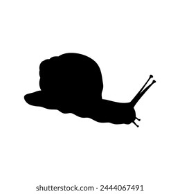 snail animal shape icon eps 10