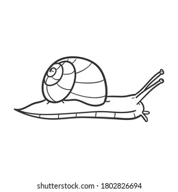 Snail Animal Traditional Doodle. Icons Sketch Hand Made. Design Vector Line Art.