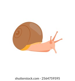 Snail , Autumn Isolated Vector Illustration