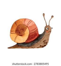 Snail with big brown shell