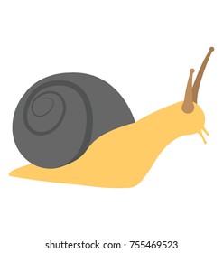 
Snail with big swirling shell and long tentacles 
