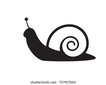 Snail black and white outlines