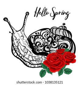 Snail. Black and white pattern with scarlet roses. hand drawn vector illustration. The concept of a tattoo or a postcard decor