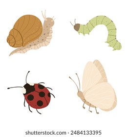 Snail, butterfly, caterpillar, ladybug. Cute cartoon insect characters set. Simple flat small bugs. Childish vector illustrations isolated on white background. Print for stickers, logo, design.