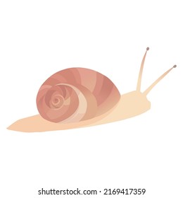Carácter de caracol aislado en el fondo blanco
