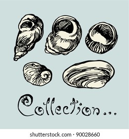 snail collection drawing