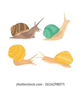 Snail collection vector illustration in cartoon flat style. Animal wildlife Gastropods in various color. Mollusca drawn best for infographic, education, and scientific illustration