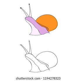 snail coloring book
