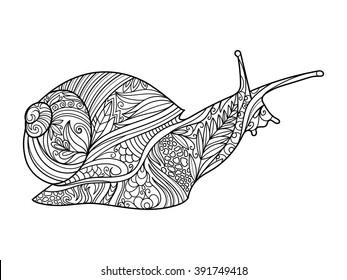 Snail coloring book for adults vector illustration. Anti-stress coloring for adult. Zentangle style. Black and white lines. Lace pattern