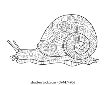 Snail coloring book for adults vector illustration. Anti-stress coloring for adult. Zentangle style. Black and white lines. Lace pattern