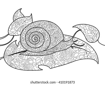 Snail coloring book for adults vector illustration. 