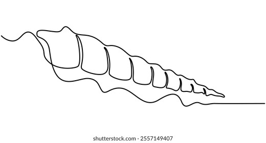 snail conch continuous line vector illustration, Continuous one line drawing of conch snail shell. Seashell symbol and banner of beauty spa and wellness salon in simple linear style. Editable stroke. 