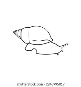 Snail continuous line art drawing. Cute snail one line art drawing