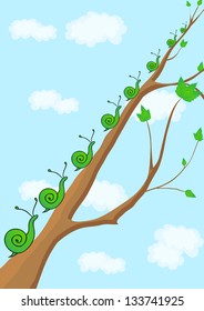 snail crawling up the branch.spring awakening