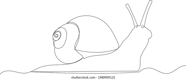 snail crawling in continuous line, sketch, isolated, vector