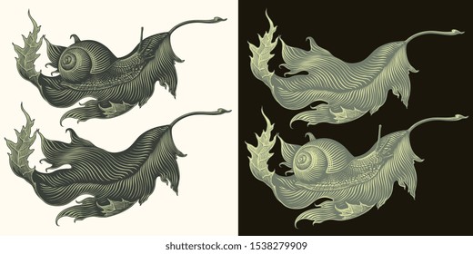 Snail crawling on a tree leaf. Design set. Hand drawn engraving. Editable vector vintage illustration. Isolated on light and dark backgrounds. 8 EPS