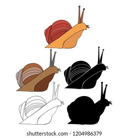 snail crawling, set
