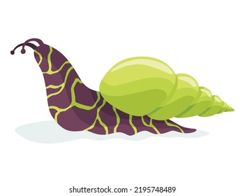 Snail crawling. Snailfish colour shell. Colourful mollusk character isolated in cartoon style. Multicolored slug snail-shaped for kids design or speed snail-paced
