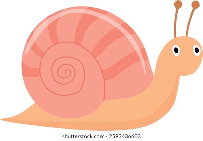 Snail. Cute insect illustration. vector