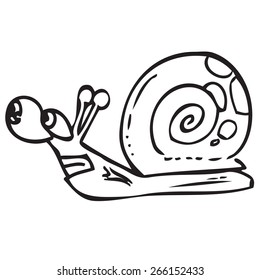Snail Doodle