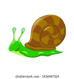 snail drawing on white background, vector illustration