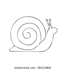 Snail - Drawn Outline Vector