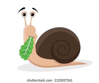 snail eating lettuce, funny cartoon style, vector illustration