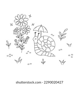 Schnecke auf dem Feld neben dem Gezwitscher der Kamille. Kamm mit gestreifter Muschel und Regenschirm über Kopf. Schwarz-Weiß-Vektorgrafik einzeln handgezeichnet. Frühling und Sommersaison