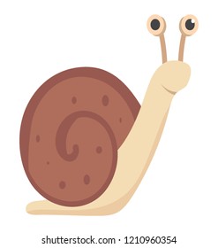 Snail flat colored icon