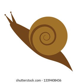 snail flat illustration isolated on white. Forest and wild life series