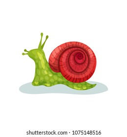 Snail gastropod mollusk with red shell vector Illustration on a white background